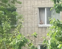В Смоленске малыш едва не вывалился из окна